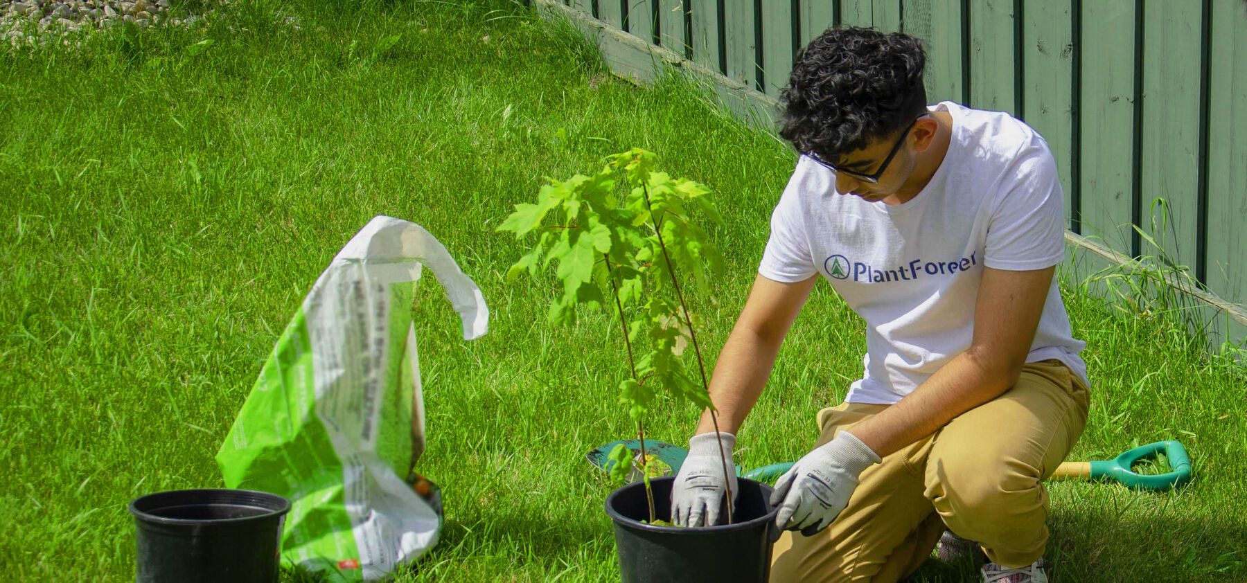 PlantForever planting a tree
